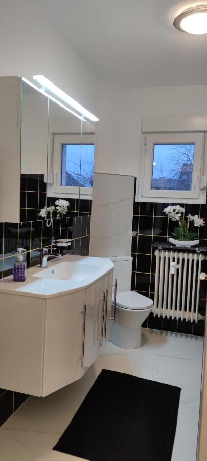 Schoene Und Optimal Gelegene Wohnung Og Weisskirchen Exteriör bild